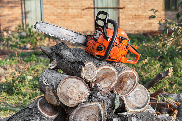  Lemont, IL Tree Service Pros